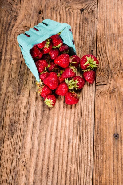 Petit panier de fraises fraîches — Photo