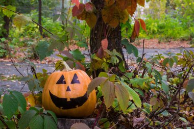 Komik güzel Halloween kabak çim