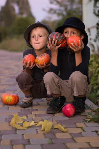 Enfants positifs assis avec des citrouilles d'Halloween — Photo