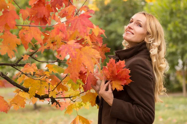 Freudige Frau träumt unter einem Herbstbaum — Stockfoto