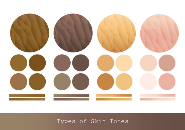 Types of Skin Tones color and texture vector illustration.