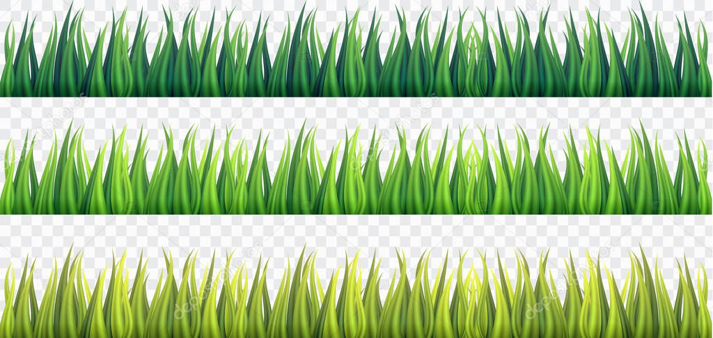 Fresh Green Grass Borders on White Isolated background,vector,illustration.