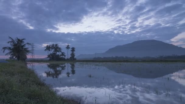 Timelapse reflejo de la salida del sol nube en movimiento sobre el arrozal campo con coco — Vídeos de Stock