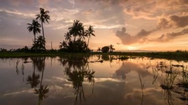Coconut Island günbatımı hüzmesi Timelapse