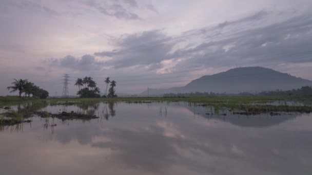 Timelapse 反射与粉红色五颜六色的日出在洪水区 — 图库视频影像