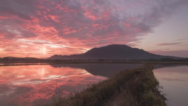 Timelapse magnífico nascer do sol colorido com caminho principal — Vídeo de Stock