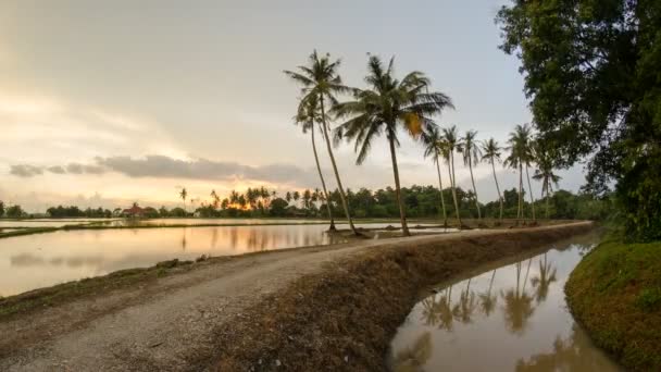 Timelapse un piccolo villaggio con piantagione di cocco — Video Stock