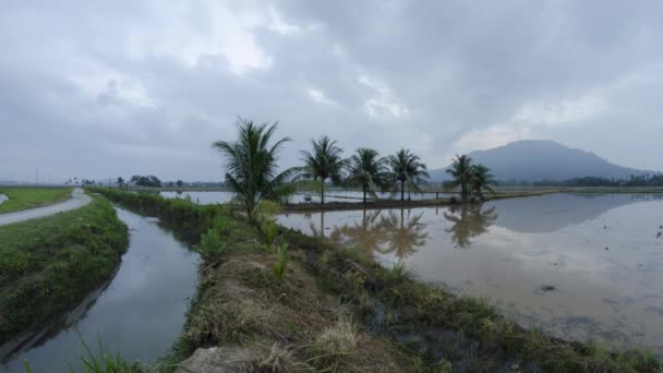 Timelapse hermosa vista de la zona rural en la naturaleza con reflexión en el agua — Vídeo de stock