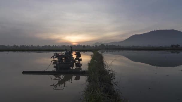 Автостоянка тракторов Timelapse на рисовом поле рано утром — стоковое видео