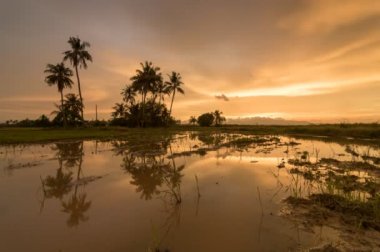 Timelapse gece geçiş günden itibaren altın bulut oluşumu