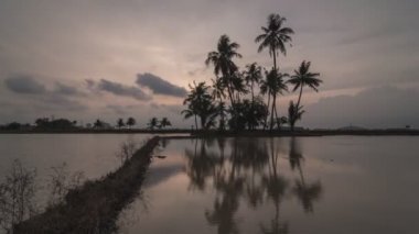 Coconut Island yansıması Timelapse günbatımı saat.