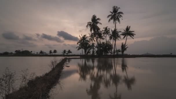 Timelapse sunset hour of coconut island in reflection. — Stock Video