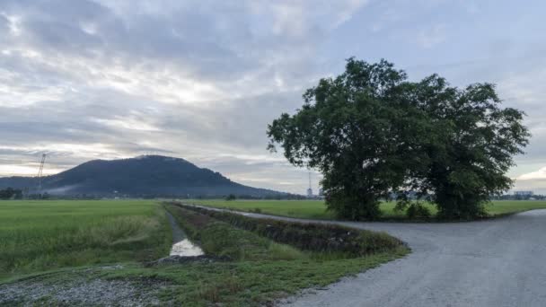 Timelapse molnig morgon i en bana i närheten risfält — Stockvideo