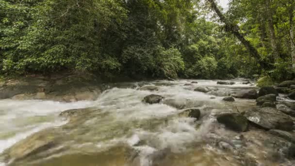 Caudal de agua Timelapse sobre roca en Sungai Sedim — Vídeo de stock