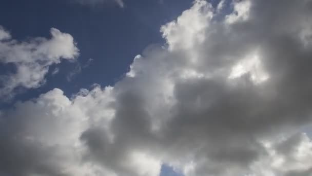 Timelapse cielo azul y nube blanca gruesa — Vídeos de Stock