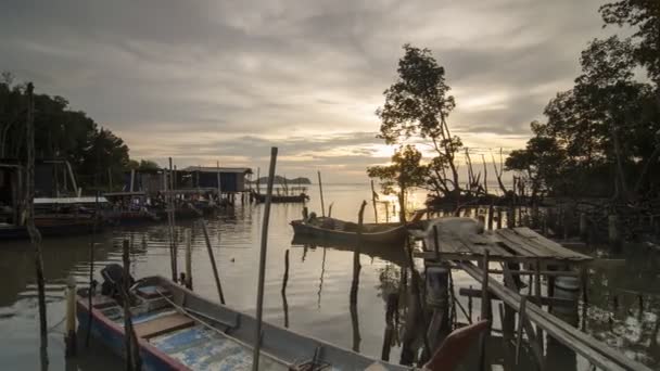 Timelapse вечір на мангрові болота — стокове відео
