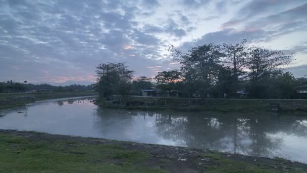 Timelapse svítání na řece vedle sloupec buffalo. — Stock video