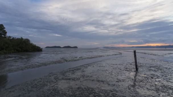 Час заката на мангровом болоте с крабом и мусорщиками — стоковое видео