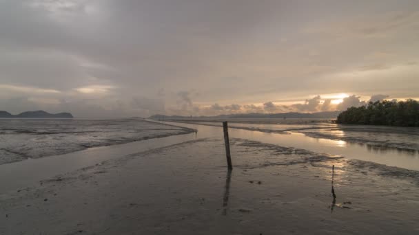 Timelapse sunset timme vid leriga mangrove området med slamkrypare — Stockvideo