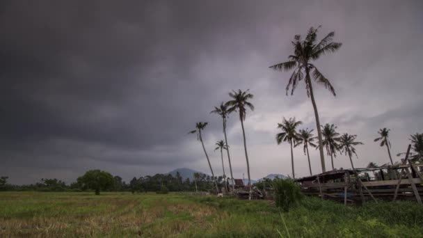 Timelapse pochmurna pogoda pada deszcz — Wideo stockowe