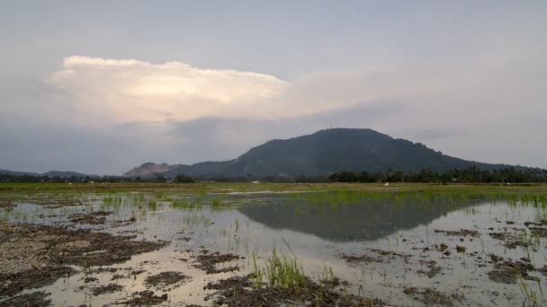 Timelapse riflessione terra fangosa — Video Stock