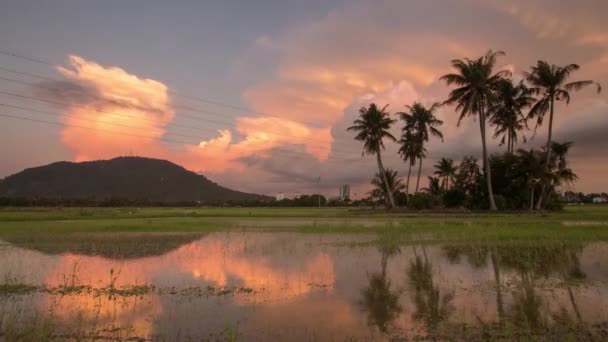 Timelapse sorprendente formación de nubes rojas sobre los cocoteros — Vídeo de stock