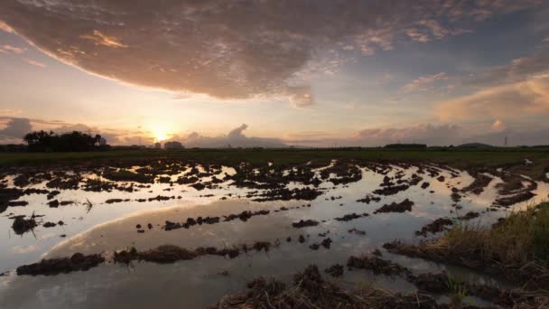 Timelapse campo espiral puesta del sol . — Vídeo de stock