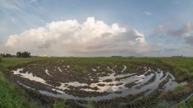 Sarmal farmlang mavi gökyüzü ile Timelapse