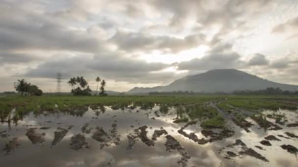 Timelapse soluppgång med mulen himmel — Stockvideo