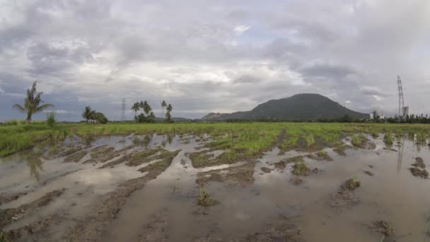 Timelapse una tierra de cultivo rural — Vídeo de stock