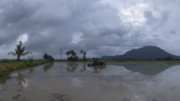 Timelapse parque de tractores en la granja de arroz — Vídeo de stock
