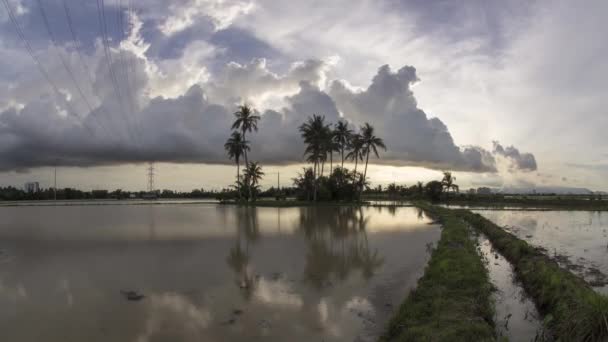 Timelapse sunrise kokosowych w ziemi uprawnej. — Wideo stockowe