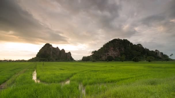 Kalksteen heuvel in de buurt van padie rijst veld op Kodiang — Stockvideo