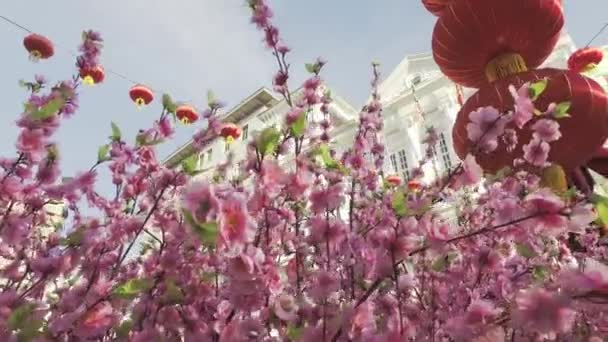 Pflaumenblüten auf der Bühne dekoriert — Stockvideo