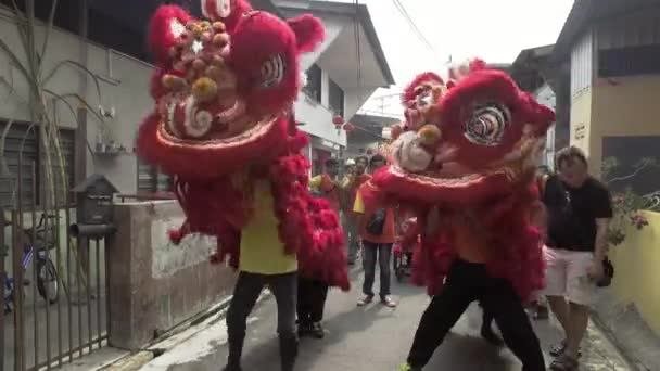 Lion dance wykonać przed domem. — Wideo stockowe