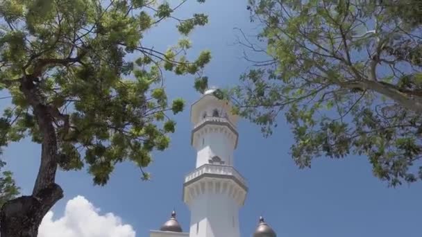 Kapitan Keling Mesquita com árvore verde — Vídeo de Stock