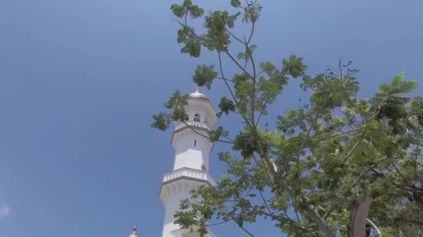 Переміщення через зелене дерево подання мечеть Kapitan Keling. — стокове відео