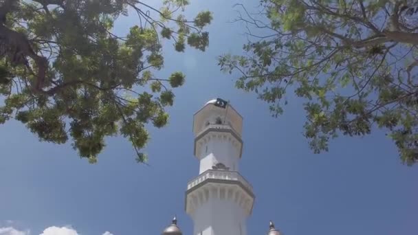 Inclinando Mesquita Kapitan Keling de árvore verde . — Vídeo de Stock