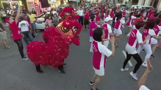 Ευτυχώς χορού λιοντάρι με δημόσια φθορά κόκκινο πουκάμισο. — Αρχείο Βίντεο