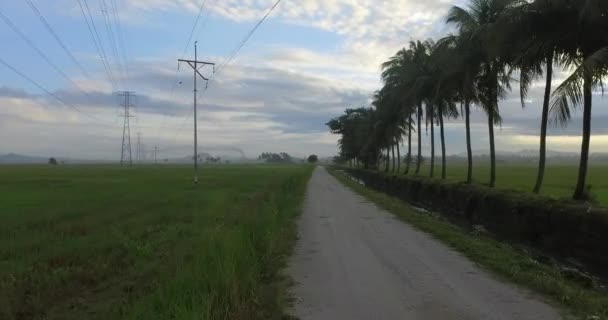 Їздити в сільській місцевості дорогу з дерева кокосу та Електрична башта. — стокове відео