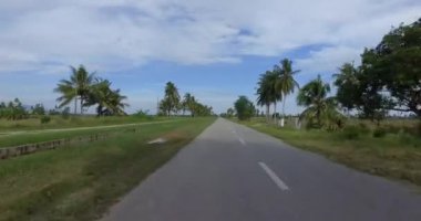 Geleneksel paddy sahasında binmek.