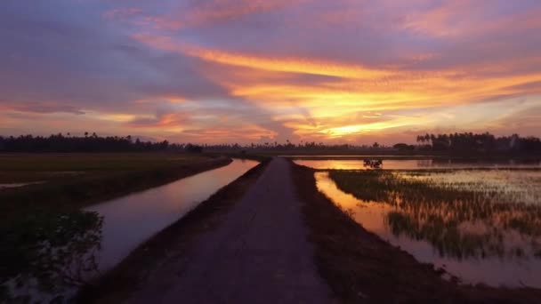 Carretera en el campo de campo — Vídeo de stock