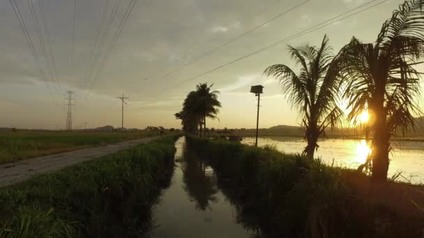 Plan panoramique d'un champ ouvert à l'extérieur de Permatang Rawa. Avec cocotiers et tour électrique . — Video