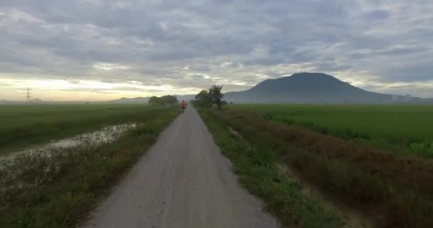 Cavalcare sulla strada di campagna al mattino . — Video Stock