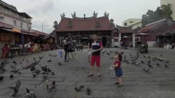 Kinder haben Spaß mit Taube am Tempel der Göttin der Barmherzigkeit. — Stockvideo