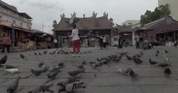 En kvinna mata duvan framför templet. — Stockvideo