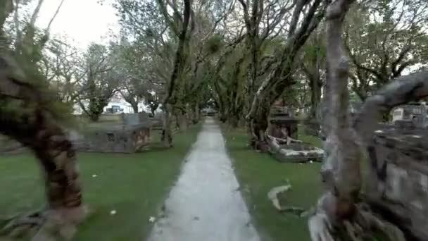 Paseo en el cementerio occidental Penang Island . — Vídeos de Stock