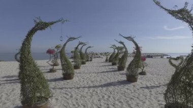 Tanjung Tokong 'daki Tua Pek Kong Tapınağı' nın yakınındaki kumsaldaki bitki süslemesinin üzerinden geç..