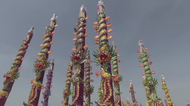 Différents Beaux Dragon Colorés Incense Sous Ciel Bleu — Video