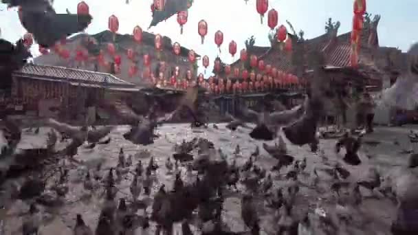 Penang Malaysia März 2018 Tauben Fliegen Vor Tempel Mit Roter — Stockvideo